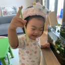 경산농약백화점 이미지