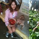 주희농장 이미지