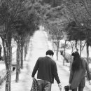 칠삭동이 이미지