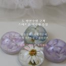 블루밍메모리
