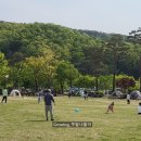 잔디놀이터 | [경기도 아이와 가볼만한곳] 텐트 피크닉 가능한 용인 자연휴양림 잔디광장｜숲속 놀이터 후기