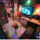 제주벨루가 이미지