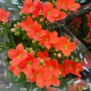 충암유치원 이미지