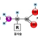 주식회사 큐브