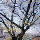 김해동광초등학교 이미지