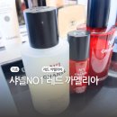 샤넬 레드 까멜리아 듀오 샘플링 서비스 후기