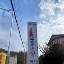 철없는 새우 이미지