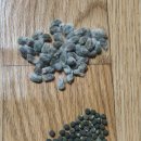 100-1-000191 이미지