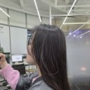 5961 | 동대구역 미용실 SF헤어, 헤어컨설팅 컷&amp;클리닉으로 머리결 복구 성공 후기