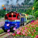 이제 부산 이미지