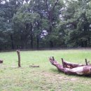 국제전상 이미지