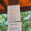멕시칸치킨랜드 네이버블로그