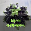 민국농장 이미지