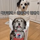 조인트케어 | 강아지사료 추천 힐스 퍼펙트웨이트&조인트 서포트 급여 후기｜체중관리부터 관절 케어까지