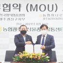 외식업중앙회 광산구지부 이미지