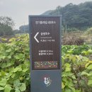 금광초등학교조령분교 이미지