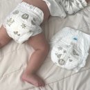 바른면 | 숲바른 기저귀 내돈내산 밴드형 팬티형 정착 후기 (국산 기저귀)