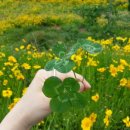 기를품은 이미지