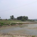 대월면-01 이미지