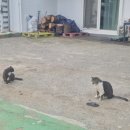 자연 | 경기도 광주 자연머뭄 후기｜산책부터 운동·보식 건강밥상까지