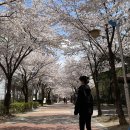 UR(경산시)-[압독로]-상-4 | 밀린,,,4