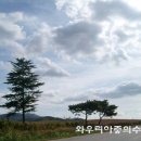 하늘스케치 이미지