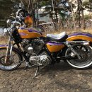 동읍1200 이미지