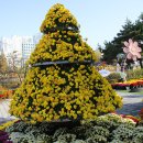 익산 체육공원 천만송이 국화축제 이미지