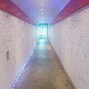 꽃 노래연습장 이미지