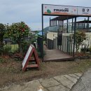 푸르곤 제주도 맘놓고 뛰어놀게 할 수 있는 애견카페 <b>푸르곤</b>