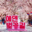 가평 오거리 | 2026 서울 근교 벚꽃 지금 안 가면 진짜 평생 후회ㅠㅠ 당일치기 BEST 5