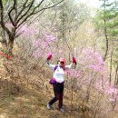 옥성자연휴양림 이미지