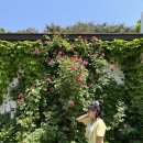 샛터목장 이미지