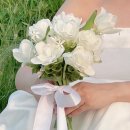 화지몽 | 웨딩스냅 촬영용 부케 셀프 제작💐 | 고속버스터미널 꽃시장