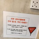 행복하개키울고양 이미지