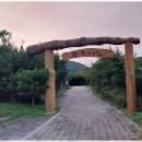 자연숲펜션 | 합천펜션 자연 속 힐링, 합천 소리숲 펜션 후기