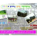 내리사랑태권도체육관 Daum카페