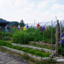 재근농장 이미지