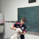 메종VIP203 이미지