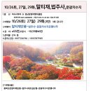 10/29화)말티재단풍,문광저수지은행,속리산세조길 이미지