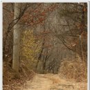 오리표씽크공장 이미지