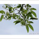 왕발 - 중랑구 공릉로 55 | 왕발