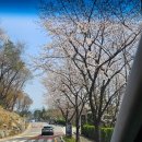 해피운동화세탁 | 그랜드 워커힐 서울 클럽스위트 - 체크인. 발렛