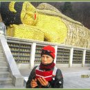 대공원입구로 이미지