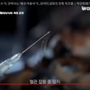 광주애견경매장 이미지