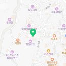 솔천재 이미지