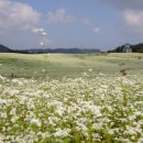 학원목장 이미지