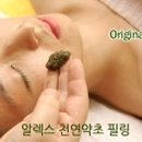 하이트비어플러스 이미지