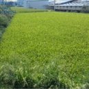 송학축사 이미지