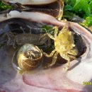 파도소리 이미지